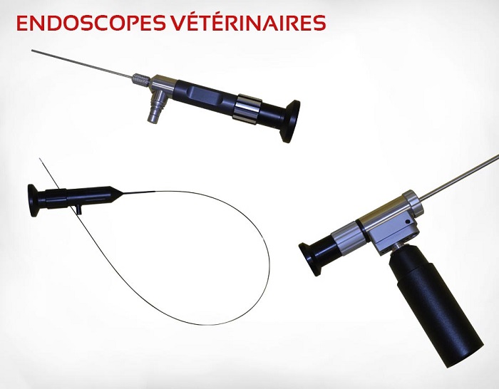 L'endoscopes pour les vétérinaires