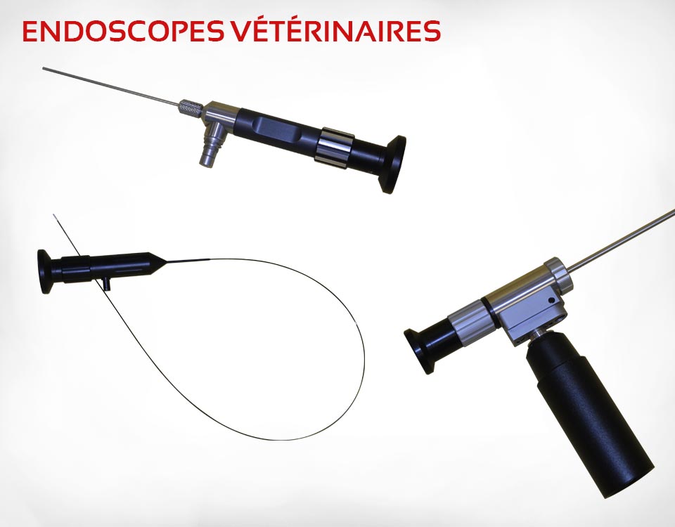Endoscopes pour les vétérinaires