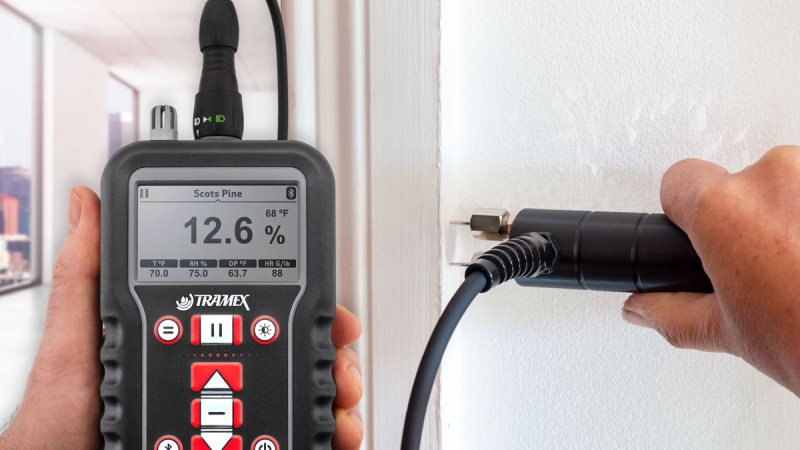 Électrode Tramex avec broches — mesure d'humidité sur mur